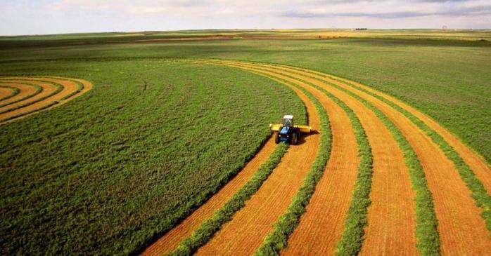 Верховная Рада внесла изменения в Земельный кодекс Украины