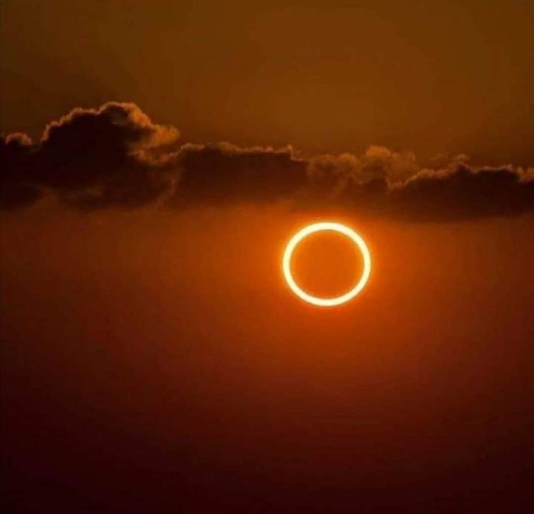 Сонячне затемнення. Фото: Instagram
