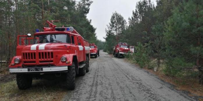 У Чорнобильській зоні локалізували пожежу, фото: Державне агентство України з управління зоною відчуження