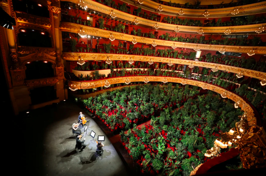 В Барселоне оперный театр выступил перед комнатными растениями. Фото: REUTERS/Nacho Doce