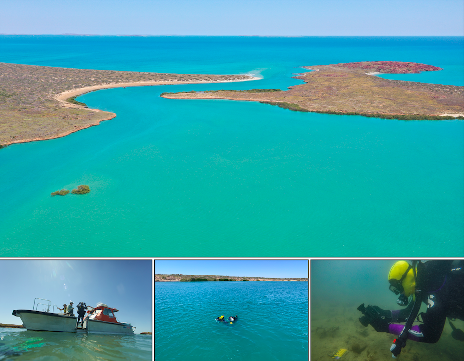 Уникальные руины поселения аборигенов археологи нашли под водой в Австралии. Фото: PLoS ONE