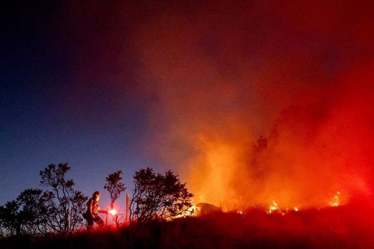 Лесные пожары бушуют в США, обнародована аэросъемка масштабов стихии