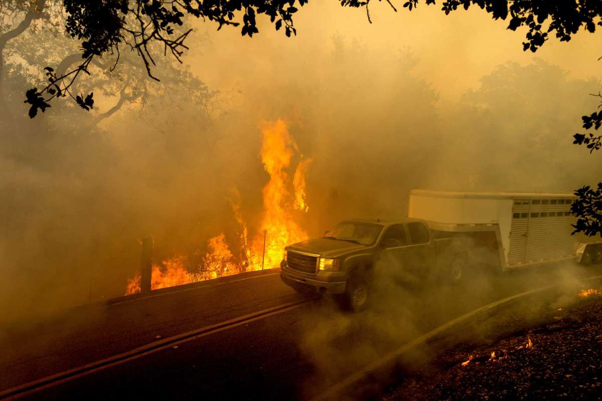 Лісові пожежі лютують у США, оприлюднено аерозйомку масштабів стихії 