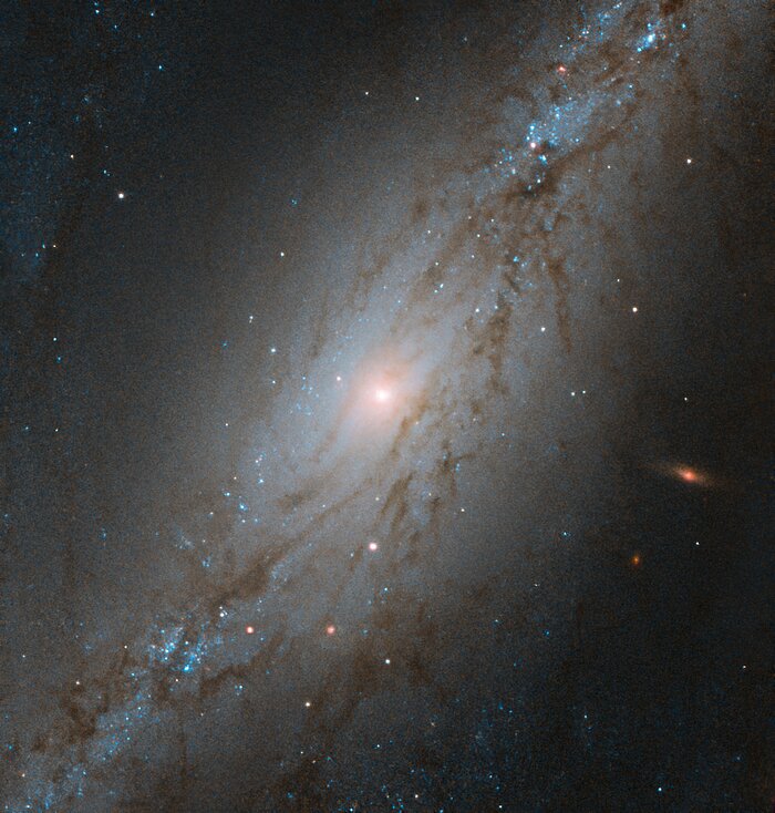 Рідкий знімок незвичайної галактики зробили астрономи. Фото: Хаббл