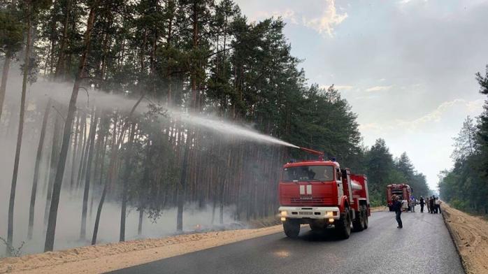 Лісова пожежа на Луганщині. Фото: ДСНС