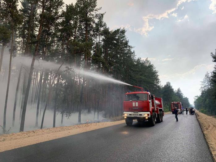 Лесные пожары продолжаются на Луганщине, на помощь пришли и военные, фото 1 ГСЧС 