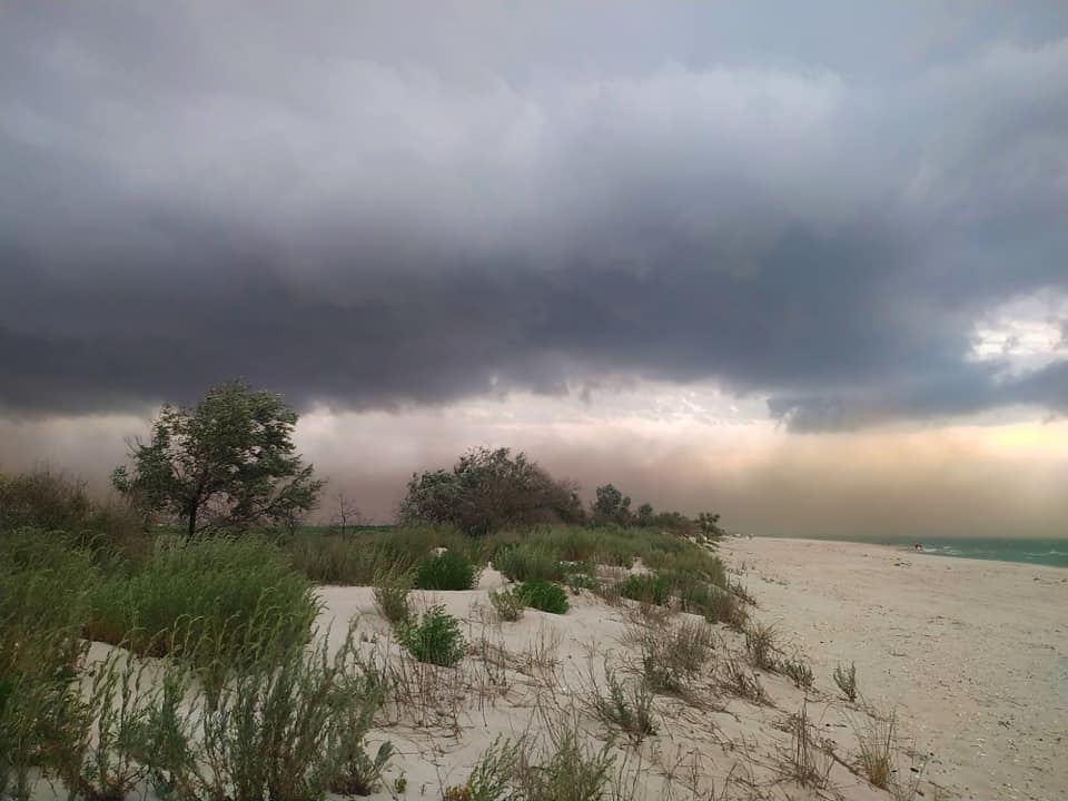 Песчаную бурю в Одесской области показали на видео. Фото: Катерина Пешко