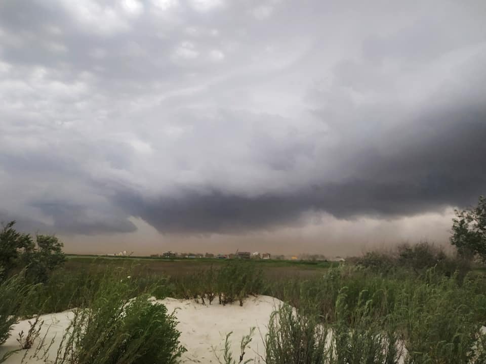 Пилова буря в Одеській області. Фото: Катерина Пешко