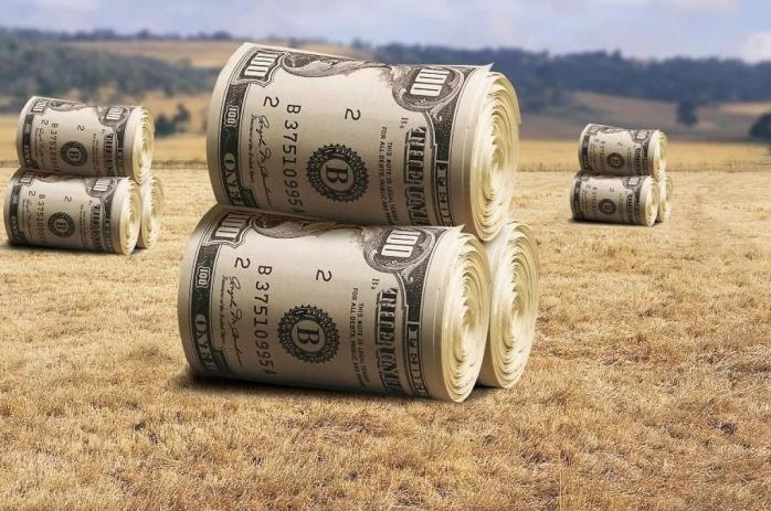 Налог в 6 тыс. грн за пай земли предлагают ввести в Украине 