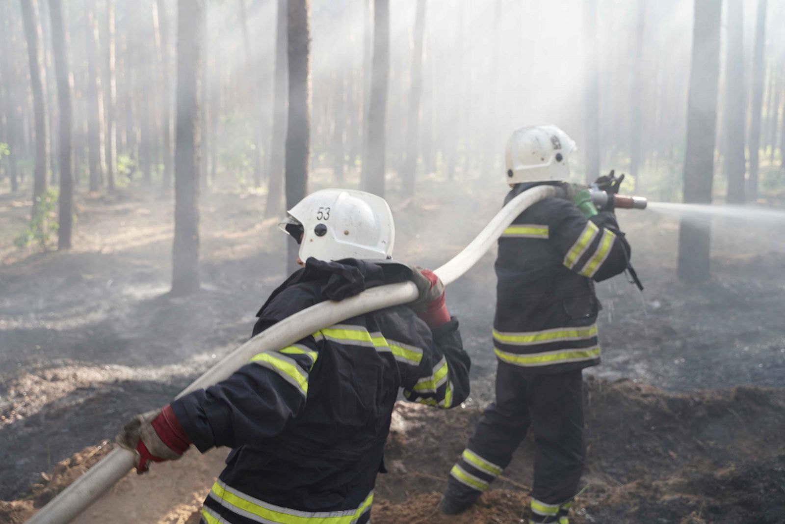 Пожежу на Луганщині локалізовано, вогнеборці показали фото і відео наслідків 