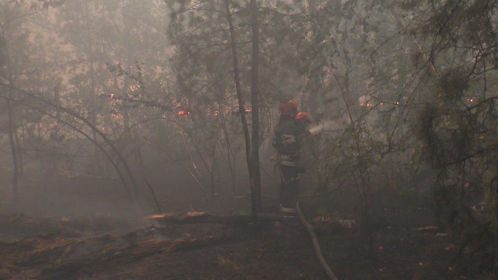 Пожежу на Луганщині локалізовано, вогнеборці показали фото і відео наслідків 