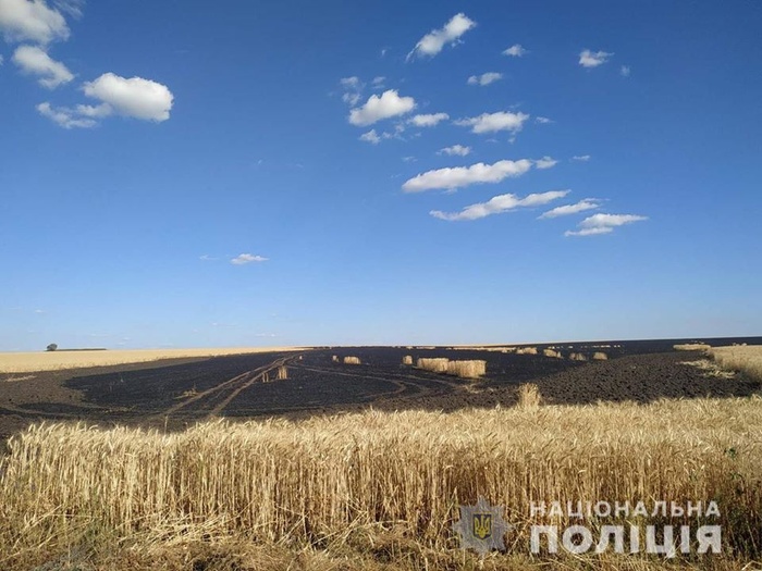«Огненную жатву» устроили дети на поле пшеницы на Харьковщине. Фото: Нацполиция
