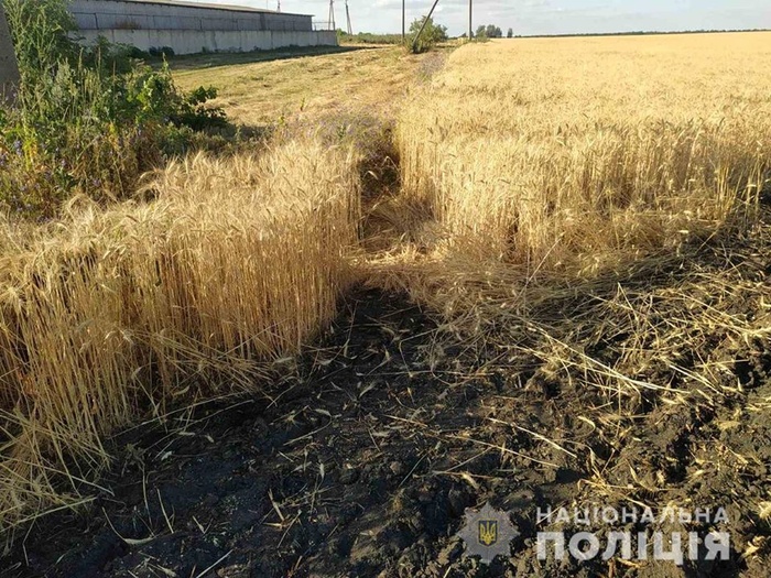 «Вогняні жнива» влаштували діти на полі пшениці на Харківщині. Фото: Нацполіція