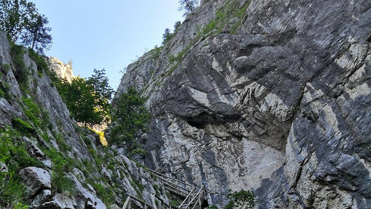 Каменепад в Австрії вбив трьох туристів, багато поранених — фото і відео порятунку / ORF