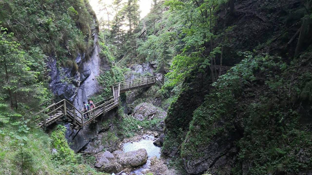 Каменепад в Австрії вбив трьох туристів, багато поранених — фото і відео порятунку / ORF