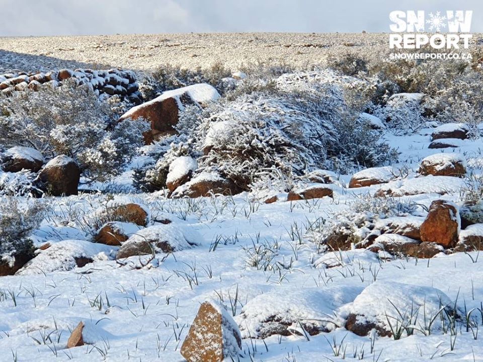 Снігопад у Південній Африці потрапив на фото і відео / Фото: Snow Report SA