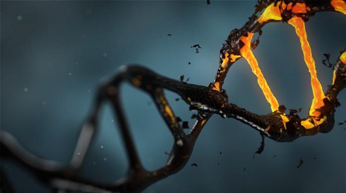 Геном людини. Фото: Pixabay