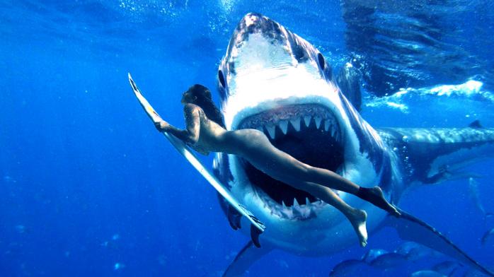 Напад акули. Фото: Pixabay