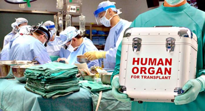 Тарифи на трансплантацію органів затвердив уряд — новини медицини