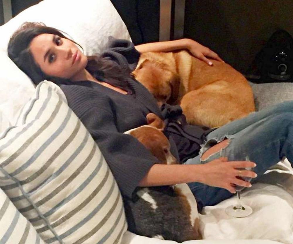 Меган Маркл зі своїми собаками. Фото: Instagram