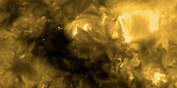 Солнце. Фото: NASA