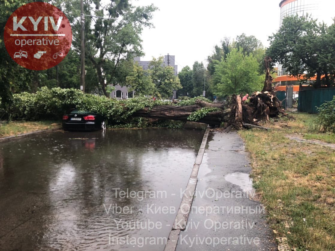 Дерево заблокировало дорогу и упало на машину. Фото: Киев оперативный