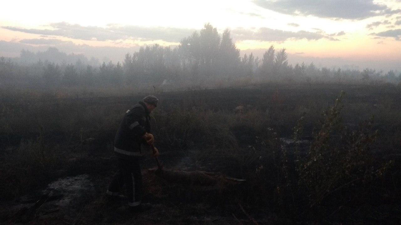Пожежа на Луганщині. Фото: ДСНС