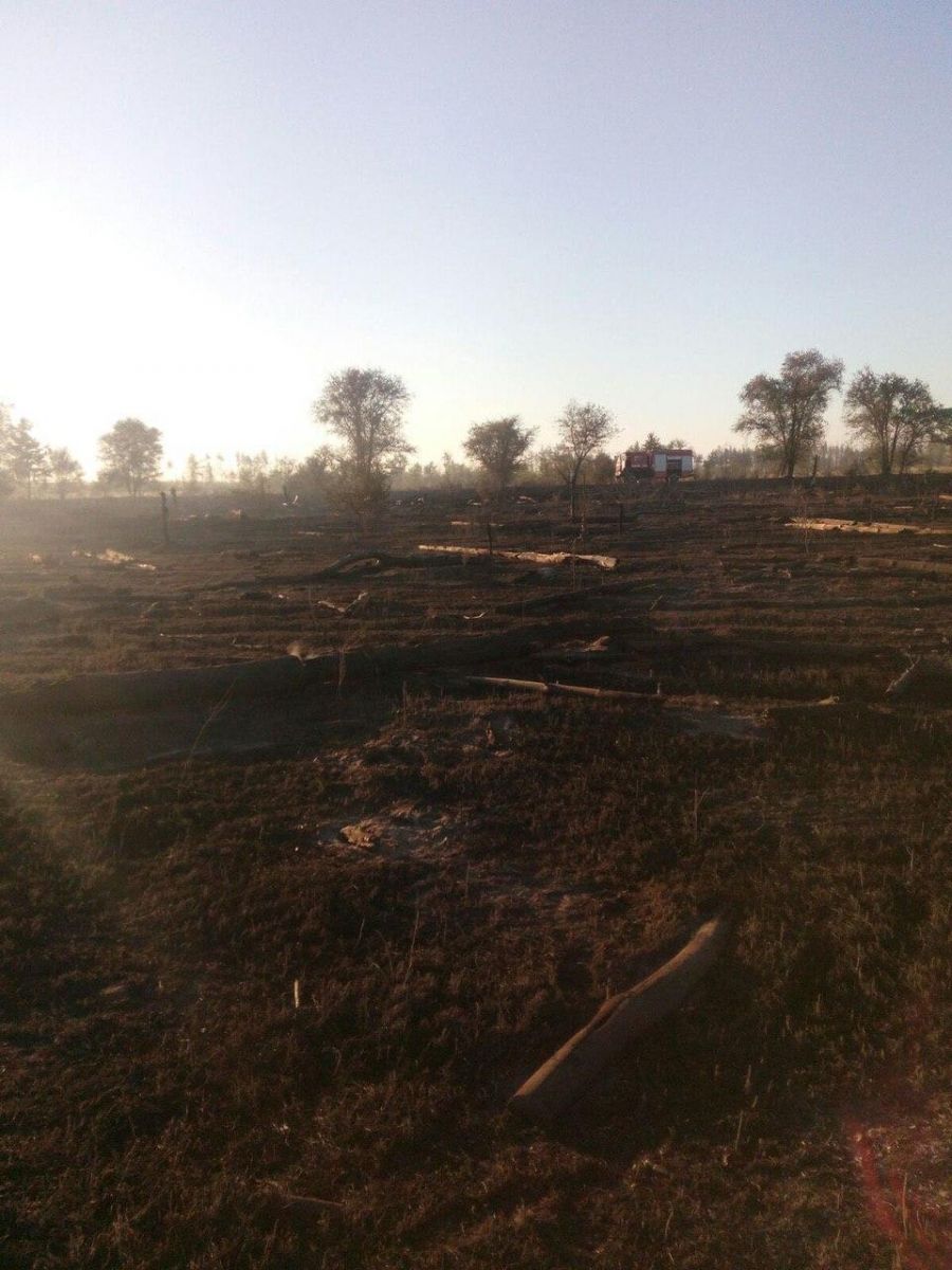 Пожежа на Луганщині. Фото: ДСНС