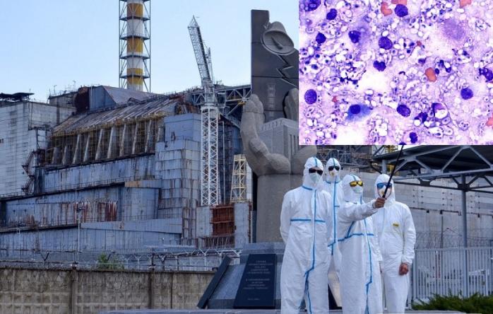 Как грибы из Чернобыля помогут в освоении Марса, рассказали ученые — новости науки