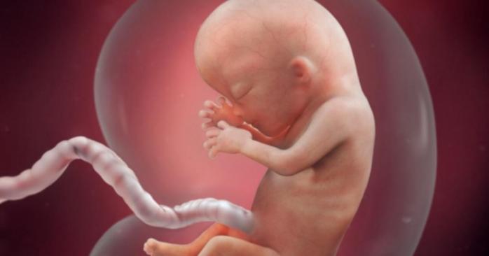 Коронавирус угрожает и эмбрионам, фото: Pc-Polzovatel.ru