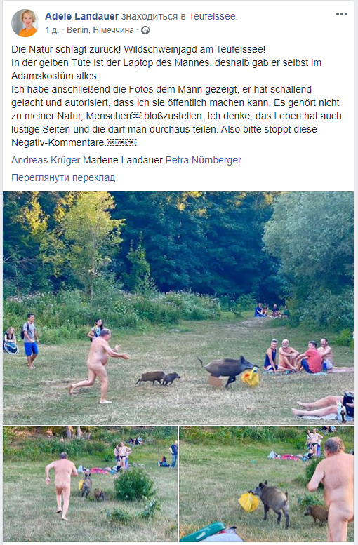 Гонитву за диким кабаном-викрадачем ноутбука влаштував нудист у Німеччині / Фото: Фейсбук Адель Ландауер
