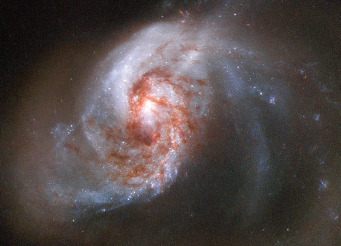 Галактика NGC 1614. Фото: spacetelescope.org