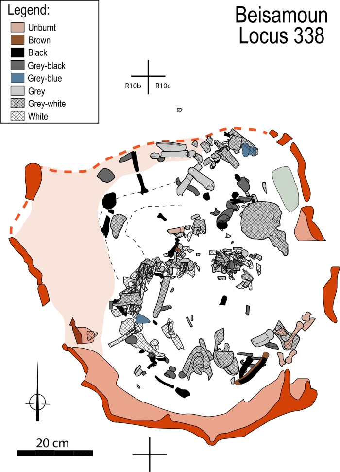 Схема розміщення людських кісток у знайденій кремаційній ямі, інфографіка: PLOS ONE