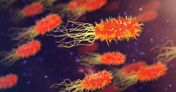 Резистентність бактерій до антибіотиків – одна з важливих проблем сучасної медицини