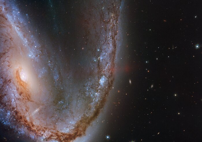 Снимок галактики NGC 2442. Фото: spacetelescope.org