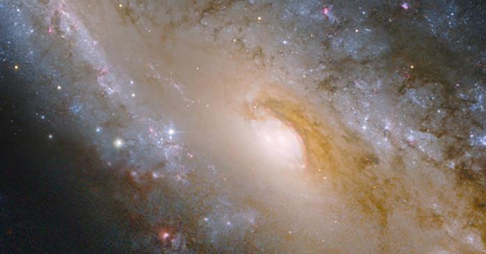 Снимок галактики NGC 2442. Фото: spacetelescope.org