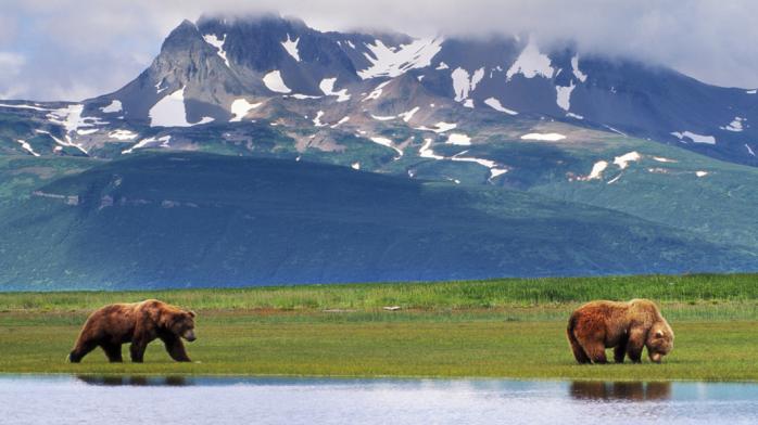 Аляска. Фото: Телеканал Царьград