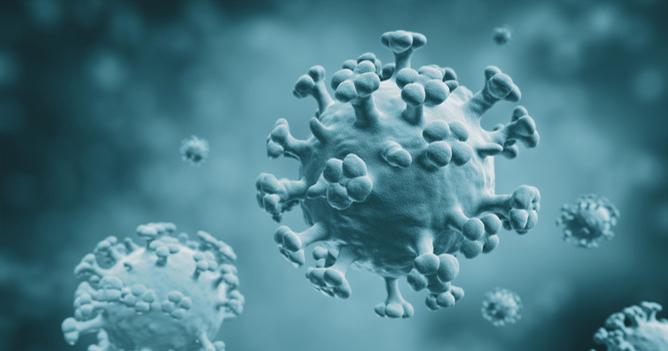 Новый штамм смертельного коронавируса обнаружили в Азии. Фото: gazeta.ru