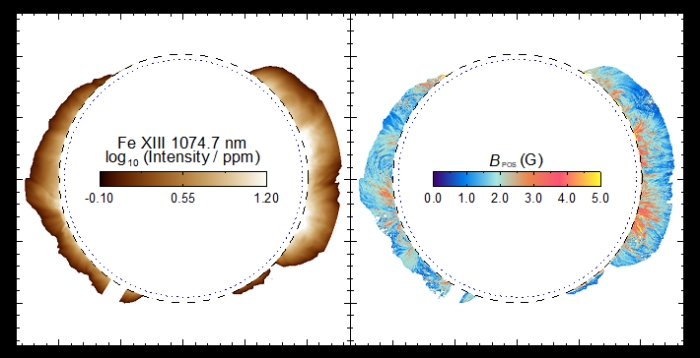 Корональне зображення (ліворуч) та відповідна карта магнітного поля (праворуч), інфографіка: Science