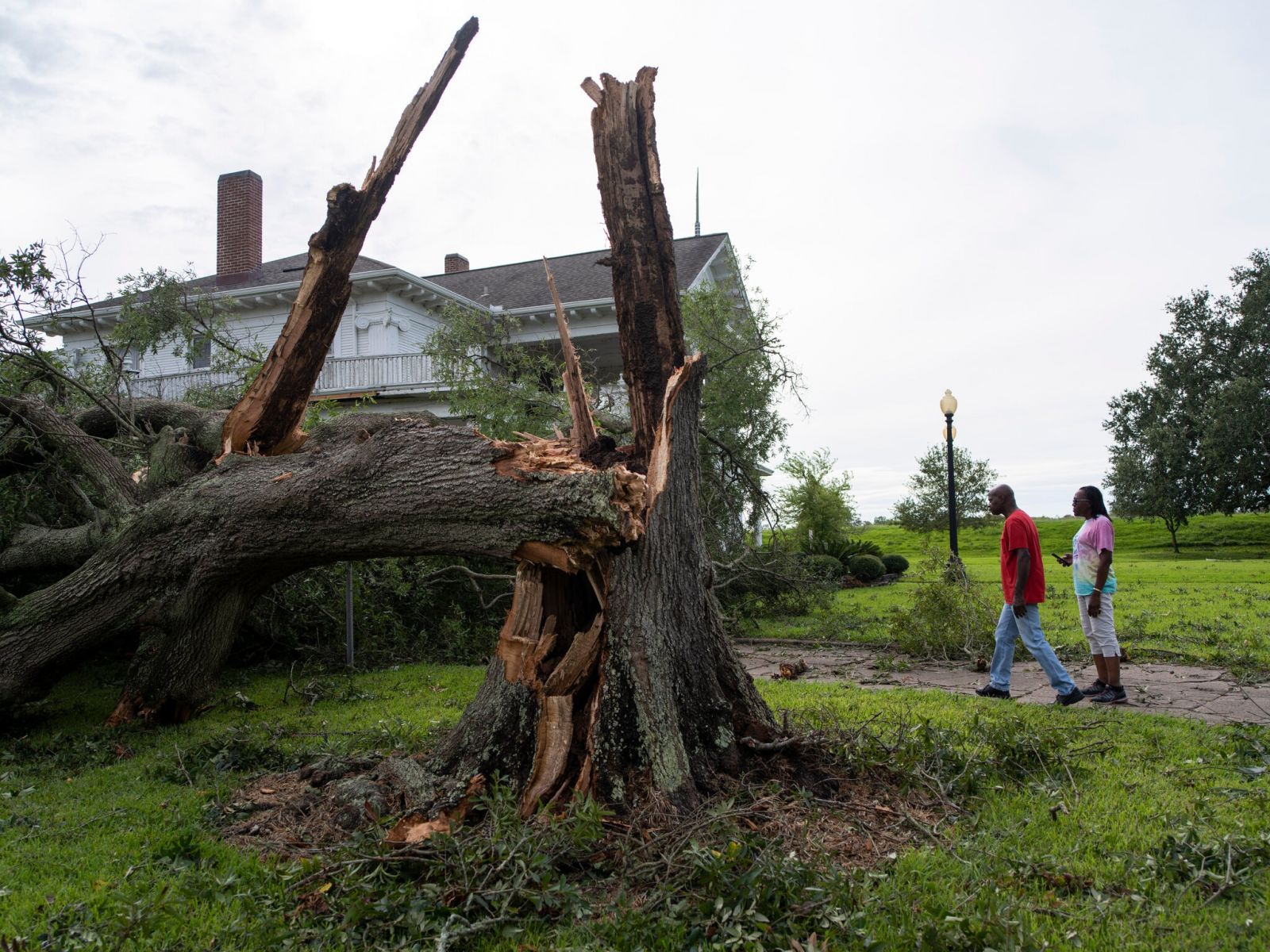 Падение деревьев из-за урагана "Лора". Фото: New York Times