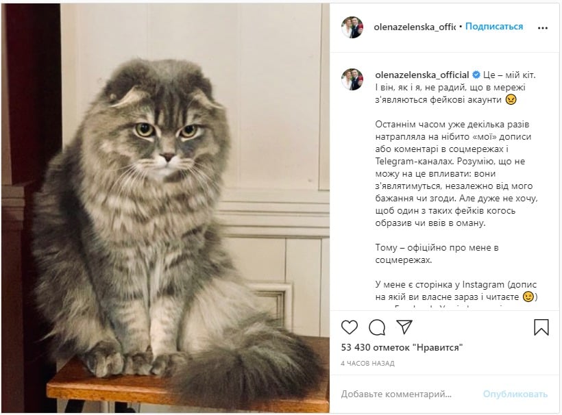 Зеленская опубликовала фото своего домашнего любимца. Скриншот: Инстаграм