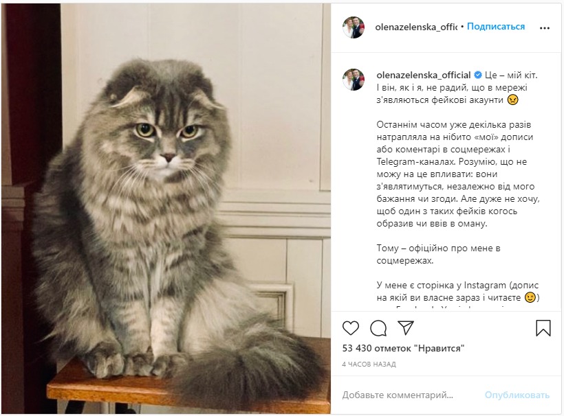 Зеленська опублікувала фото свого домашнього улюбленця. Скріншот: Інстаграм