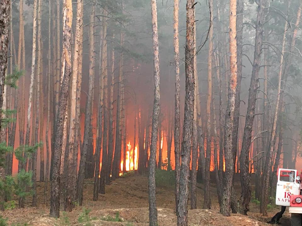 Пожар вблизи села Клугино-Башкировка. Фото: Дмитрий Дробот в Facebook