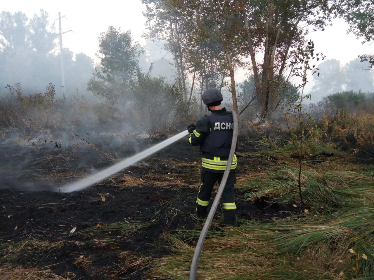 Пожар на Луганщине. Фото: ГСЧС