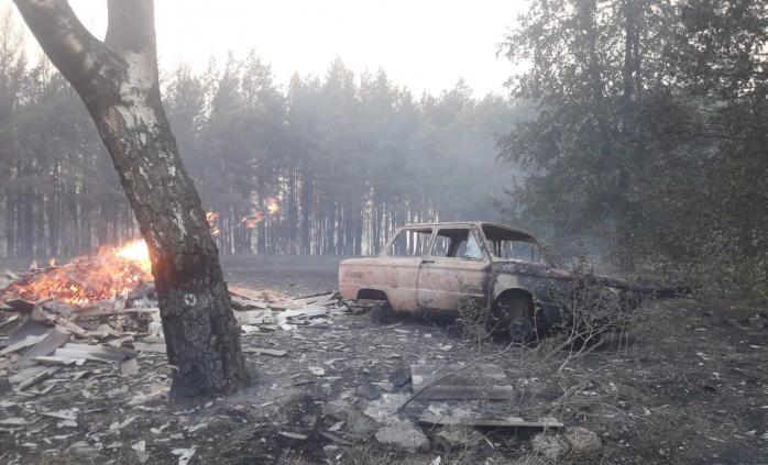 Пожежі на Харківщині тривають — вогнеборці показали фото і відео наслідків стихії