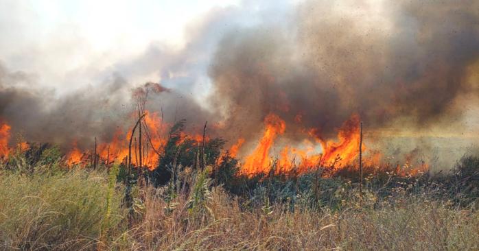 На Донбасі тривають масштабні лісові пожежі, фото: прес-центр ООС