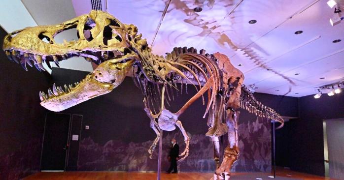 У Нью-Йорку продадуть скелет 12-метрового динозавра на прізвисько «Стен», фото: Christie's