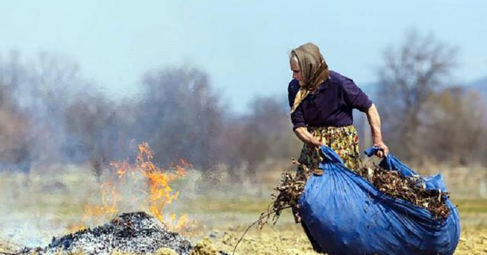 Сжигание травы наносит вред экологии. Фото: inlviv.in.ua