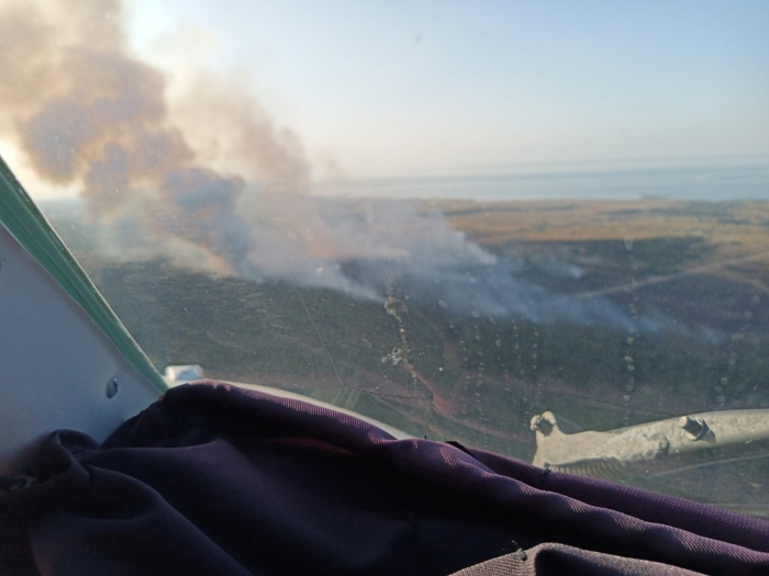 На одному з військових полігонів спалахнула пожежа, фото: ДСНС