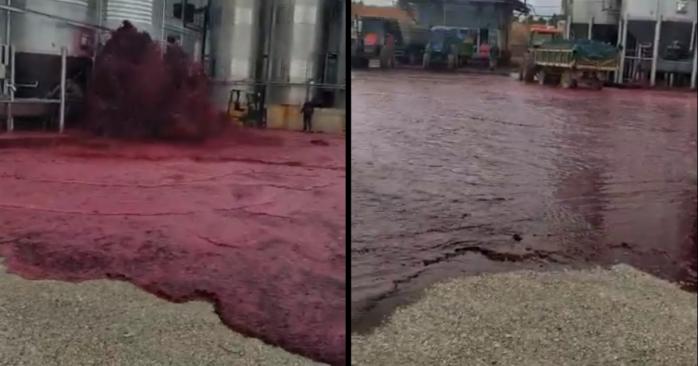 Красное вино затопило завод в Испании, скриншот видео